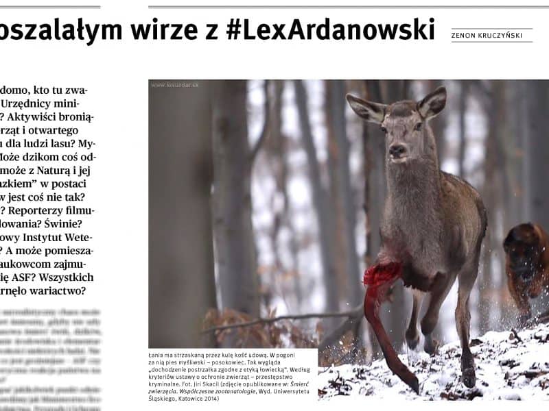 Dzikie Życie Lex Ardanowski