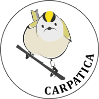 logo_carpatica