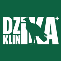 logo Dzika Klinika