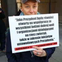 Amnestia dla dzika