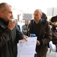 Amnestia dla dzika
