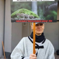Amnestia dla dzika