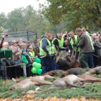 Czy łowiectwo można uznać za dziedzictwo narodowe?
