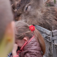 Czy łowiectwo można uznać za dziedzictwo narodowe?