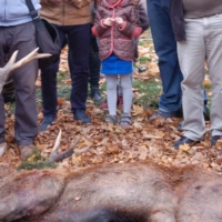 Czy łowiectwo można uznać za dziedzictwo narodowe?