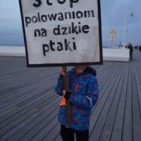 27 października, Sopot, Teatr BOTO